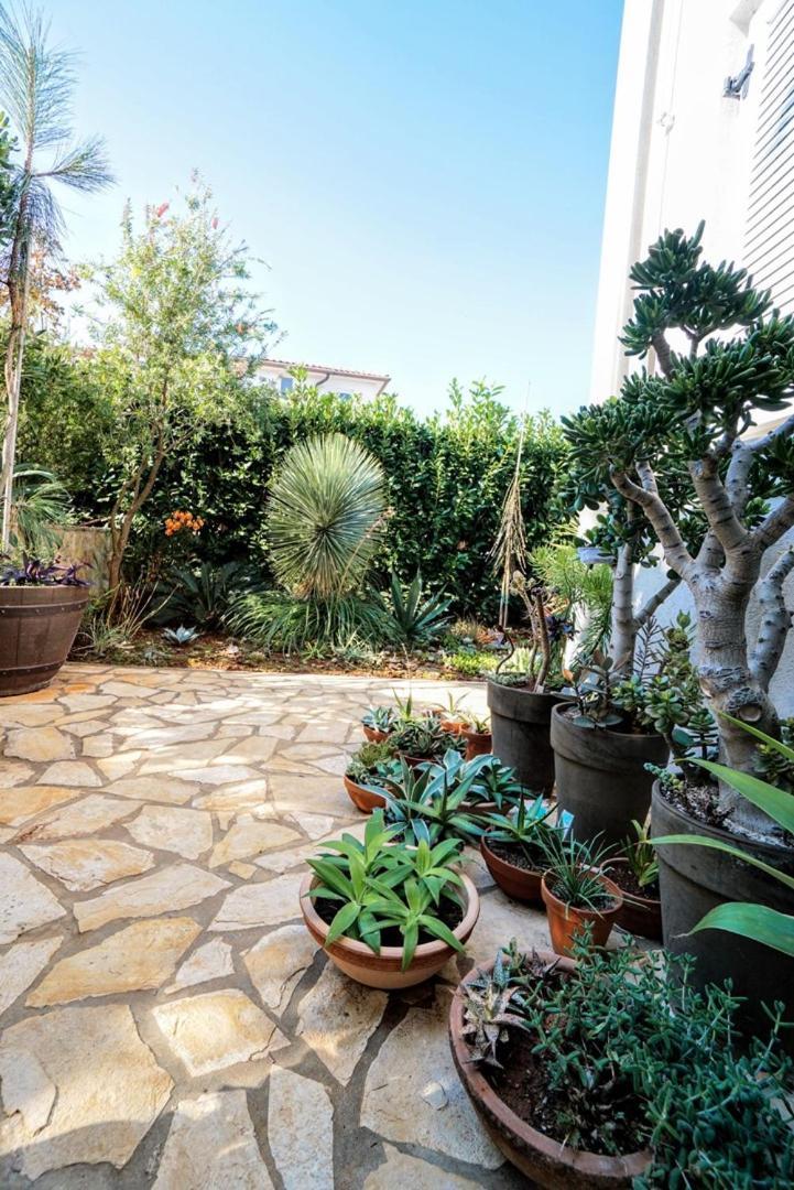 Apartment Vlado Zambratija  Εξωτερικό φωτογραφία